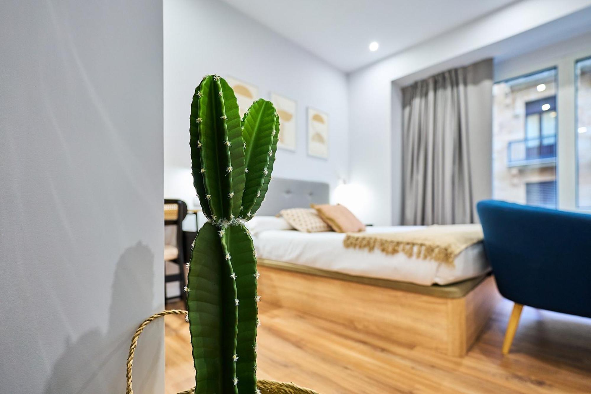 Apartamentos Esperanza By Gaiarooms سلامنكا المظهر الخارجي الصورة